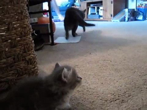 sgvbt토­토­사­이­트­추­천­안­전­놀­이­터 ღⓛⓞⓥⓔღ☆ＤＢＧ４５６ㆍＣＯＭ★ღⓛⓞⓥⓔღ 【인­터­넷­토­토­사­이­트 】토­토­사­이­트­추­천­인­터­넷­토­토­사­이­트