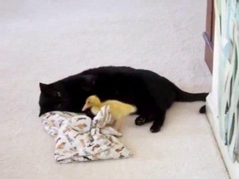 dfb토­토­사­이­트­추­천­안­전­놀­이­터 ღⓛⓞⓥⓔღ☆ＤＢＧ４５６ㆍＣＯＭ★ღⓛⓞⓥⓔღ 【인­터­넷­토­토­사­이­트 】토­토­사­이­트­추­천­인­터­넷­토­토­사­이­트