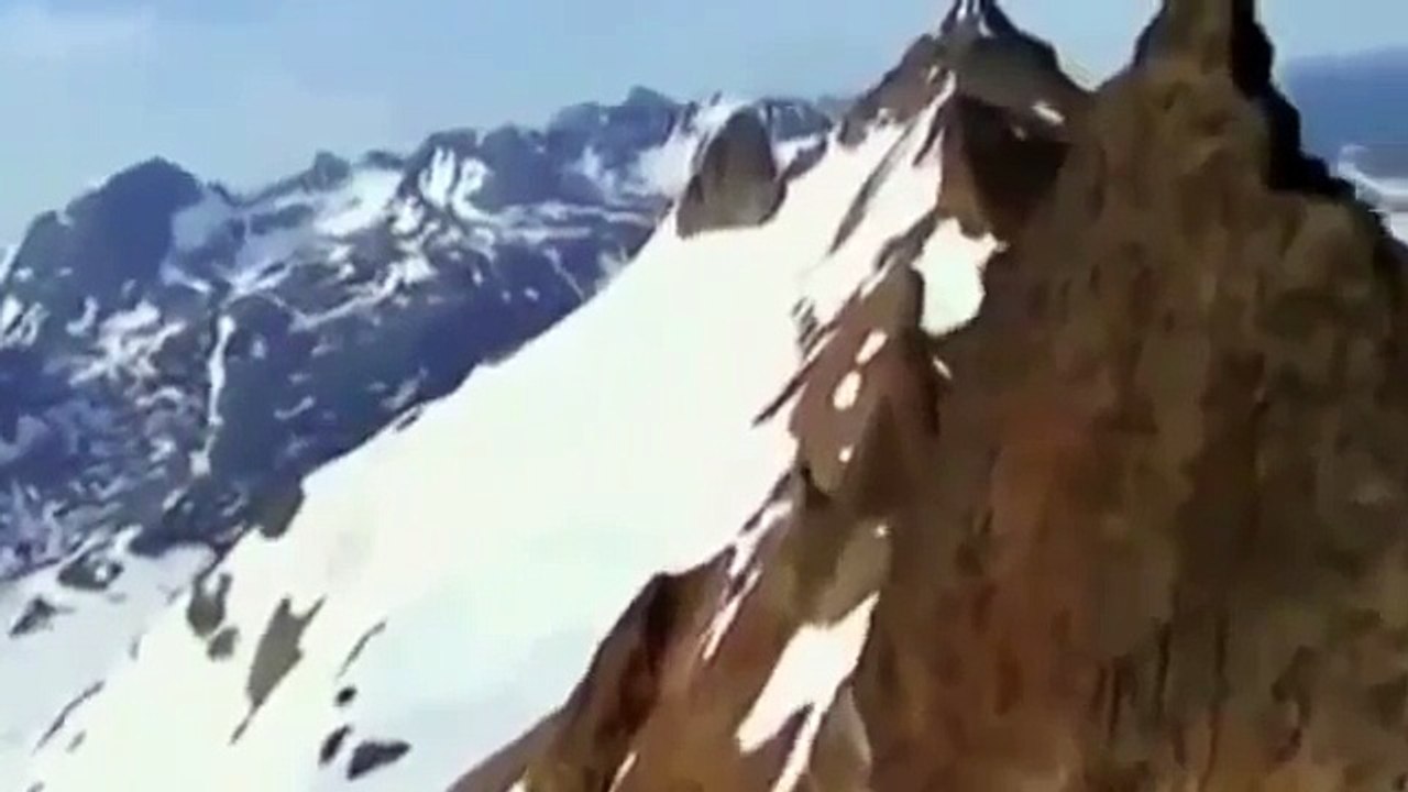 Documentary Grizzly Bears National Geographic Animals, Nat Geo Wild, Discovery Channel