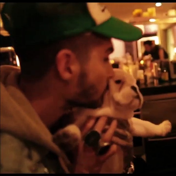 First birthday of Pumba- Bill's IG