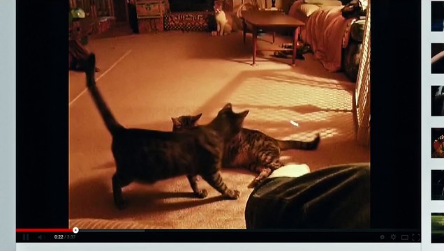 NIGHT AT THE MUSEUM 3 _ Secret of The Tomb FINAL TRAILER