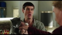 _A Cat named Butthole_ DUMB AND DUMBER 2 Movie Clip