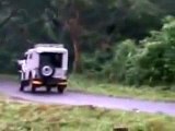 Watch india Funny Videos Indian elephant attack in Kerala  - Video Dailymotion