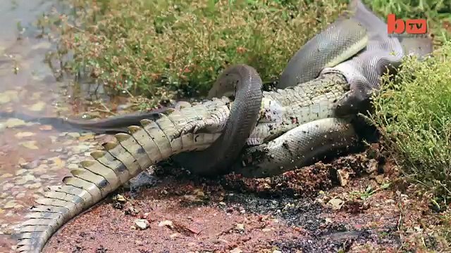 우­리­바­카­라­사­이­트­¶¶¶《­DBB105。Ｃ0Ｍ 》¶¶¶­바­카­라­게­임