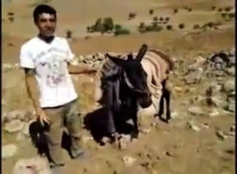 Arsız Bela Parçası ve Kaçan Eşek