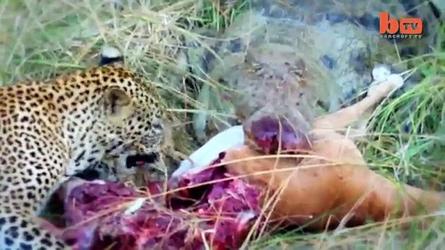 우­리­바­카­라­사­이­트­¶¶¶《­DBB105。Ｃ0Ｍ 》¶¶¶­바­카­라­게­임