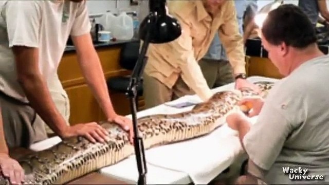 우­리­바­카­라­사­이­트­¶¶¶《­DBB105。Ｃ0Ｍ 》¶¶¶­바­카­라­게­임