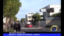 BARLETTA | Rubano in un'azienda, tre arresti