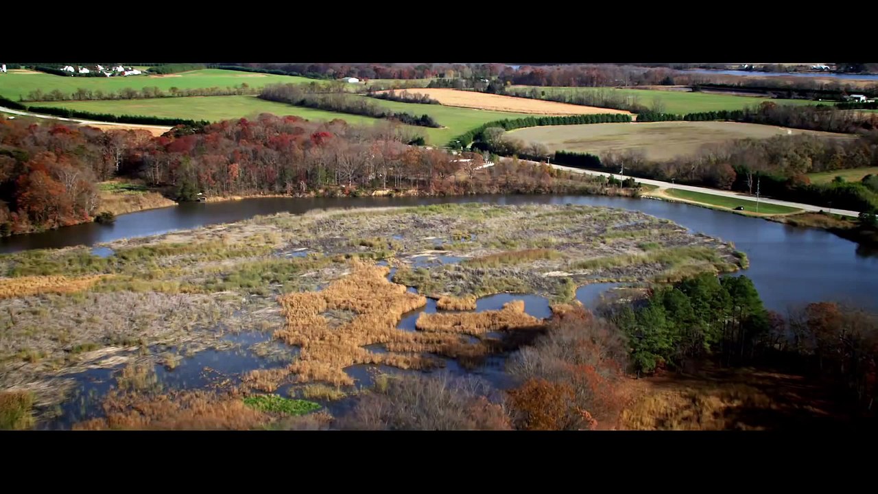 THE SONG Movie Trailer (Alan Powell, Ali Faulkner, Cailtlin Nicol-Thomas)