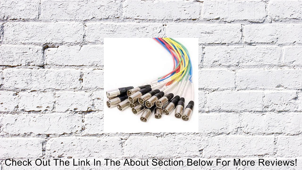 Seismic Audio - SARMSS-16x1515 - 16 Channel XLR TRS Combo Splitter Snake Cable Two 15' XLR trunks - Rack Mountable Review