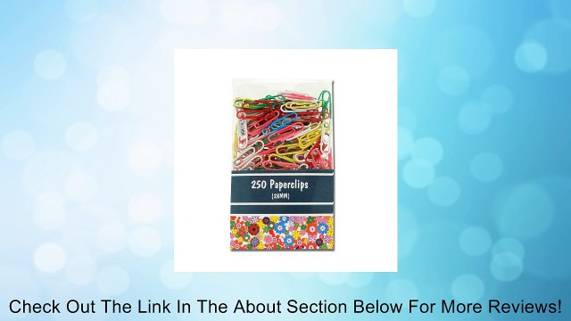 250 Vinyl Coated Paper Clips (Assorted Colors) Review