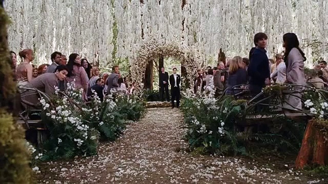 Twilight 4 TV Spot # 1
