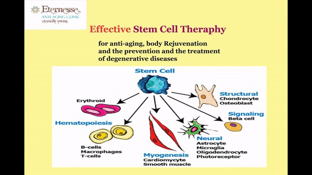 Eternesse Anti Aging Clinic