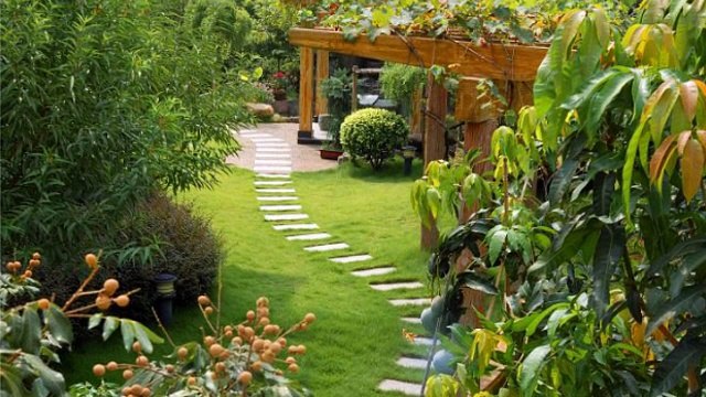 Wise Landscaping - (979) 421-6255