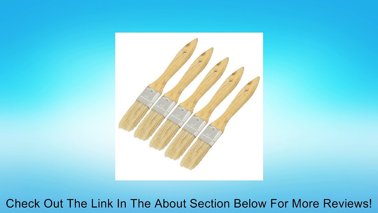 Furniture Painting 1" Width Bristle Hair Wooden Handle Paint Brushes 5 Pcs Review