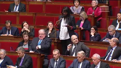 Seybah Dagoma - Question au Gouvernement 3/12/2014