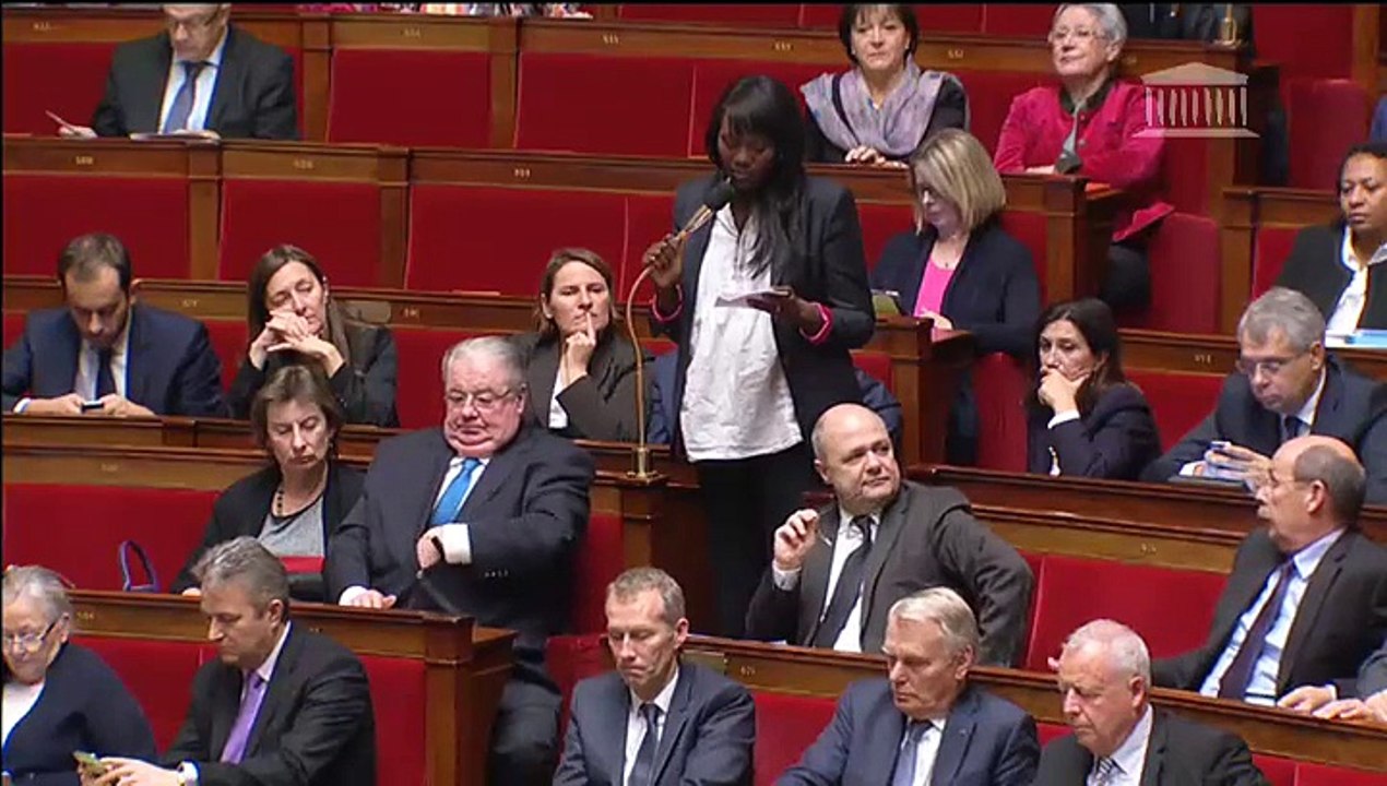 Seybah Dagoma - Question au Gouvernement 3/12/2014