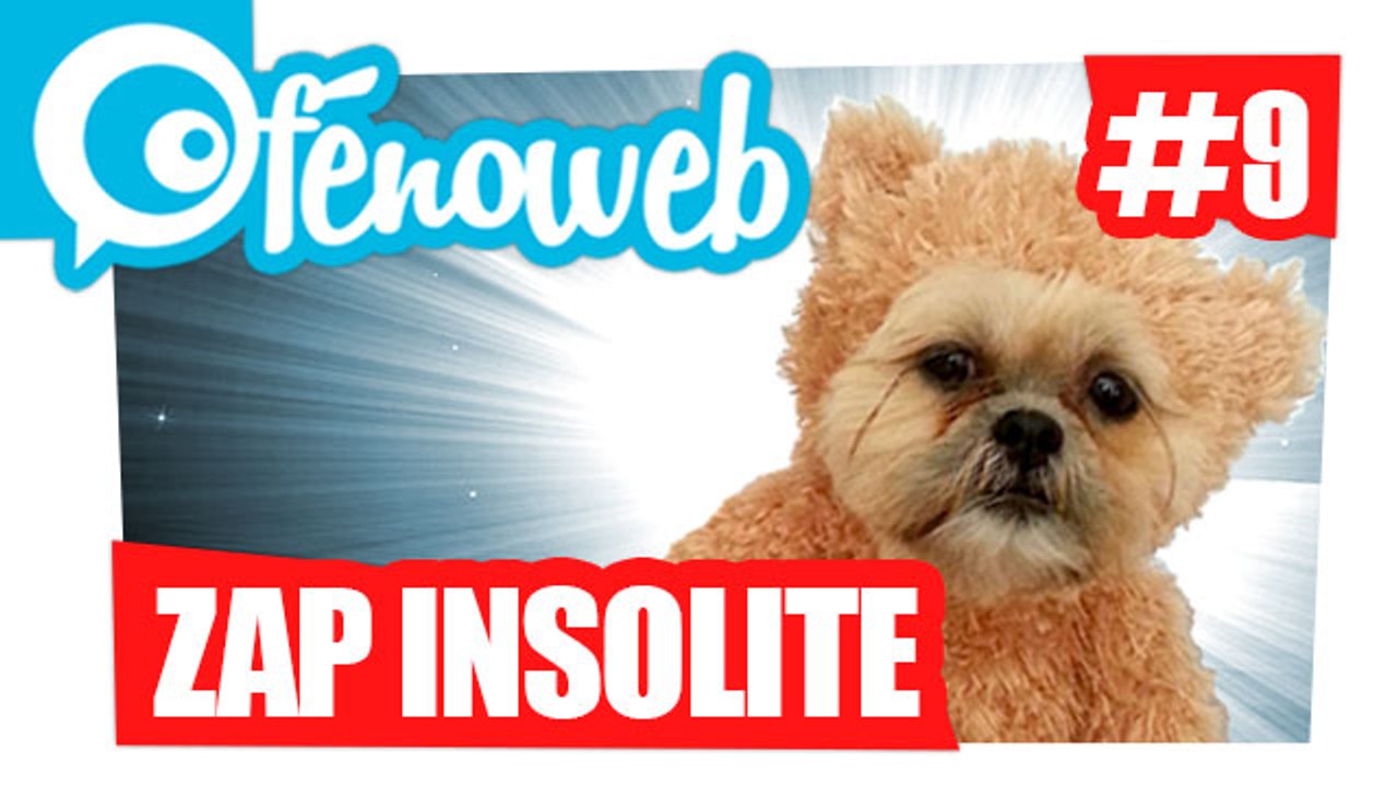 Compile Insolite du web Fin Novembre 2014