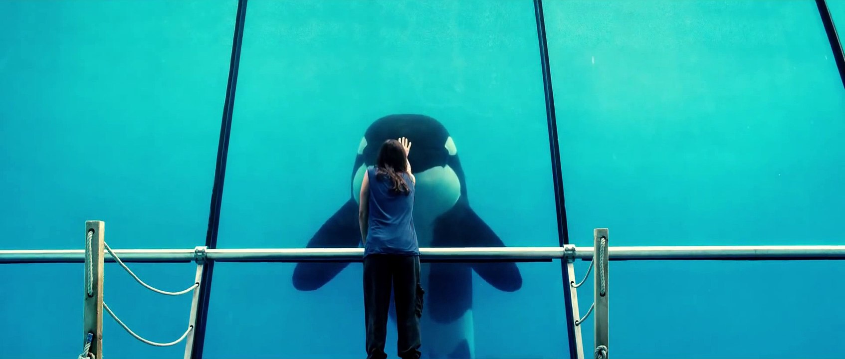 Rust and Bones UK Trailer (English Subtitles)