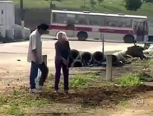 ھاھاھا بھاگو مردہ زندہ ہو گیا