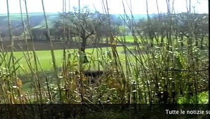 Terreni agricoli nel Salento, lo spettro dell'Imu incombe