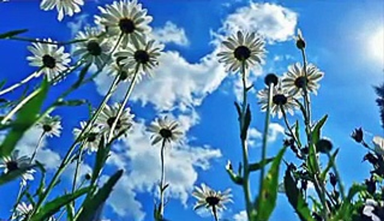 あINTO THE SKY