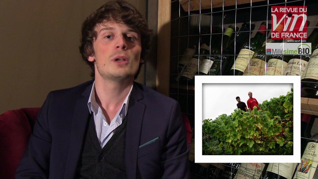 Vin bio : Coup de cœur pour le domaine Pabiot à Pouilly-Fumé