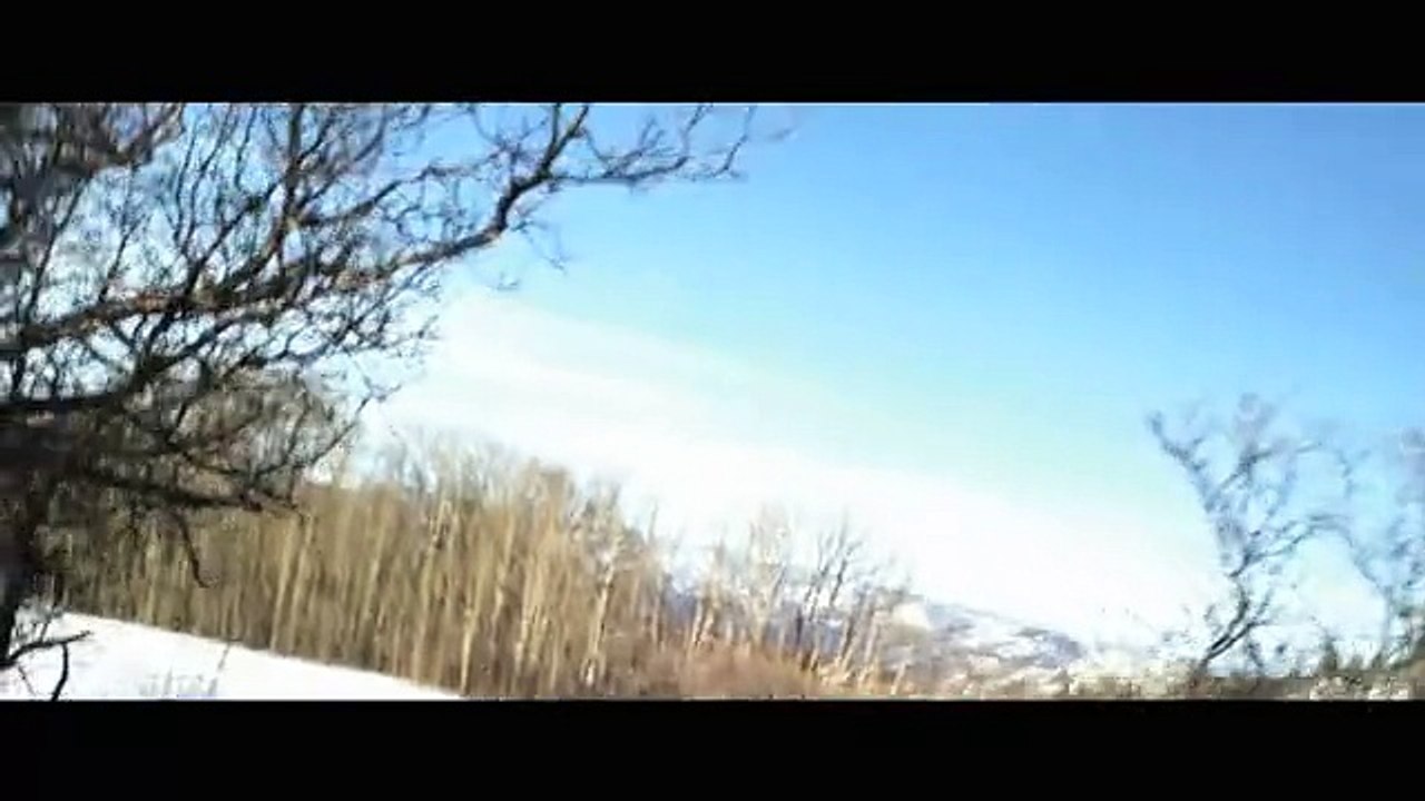 The Frozen Trailer