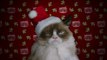 Grumpy Cats Worst Christmas Ever 2014 - Theatrical Trailer