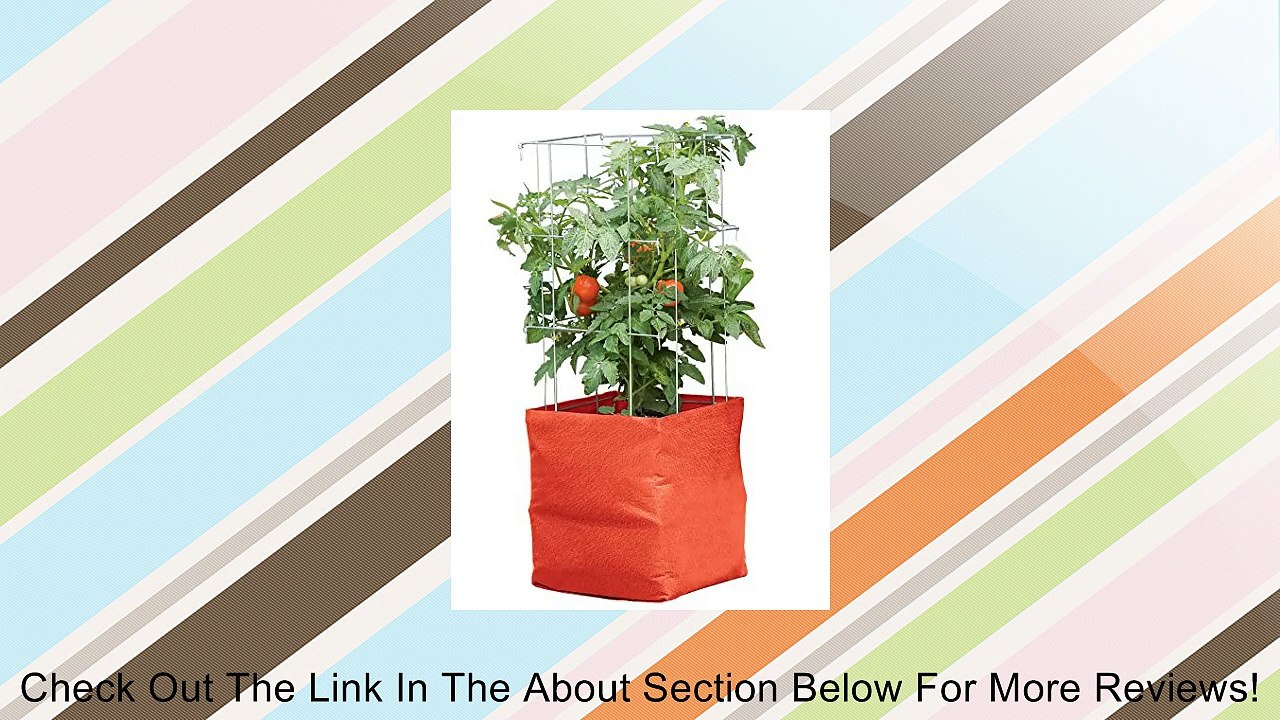 Tomato Grow Bag Kit Review