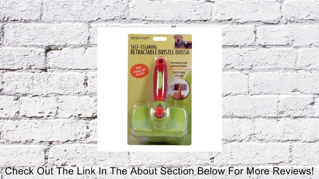 Rinse Ace 4126COM Self-Cleaning Retractable Pet Bristle Brush, Large Review