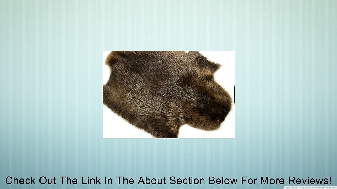 Beaver Pelt for Sewing Review