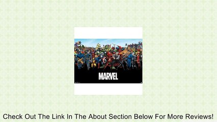Marvel Comics Universe Poster Review