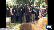 Dunya News - Oldest known lion in Uganda dies