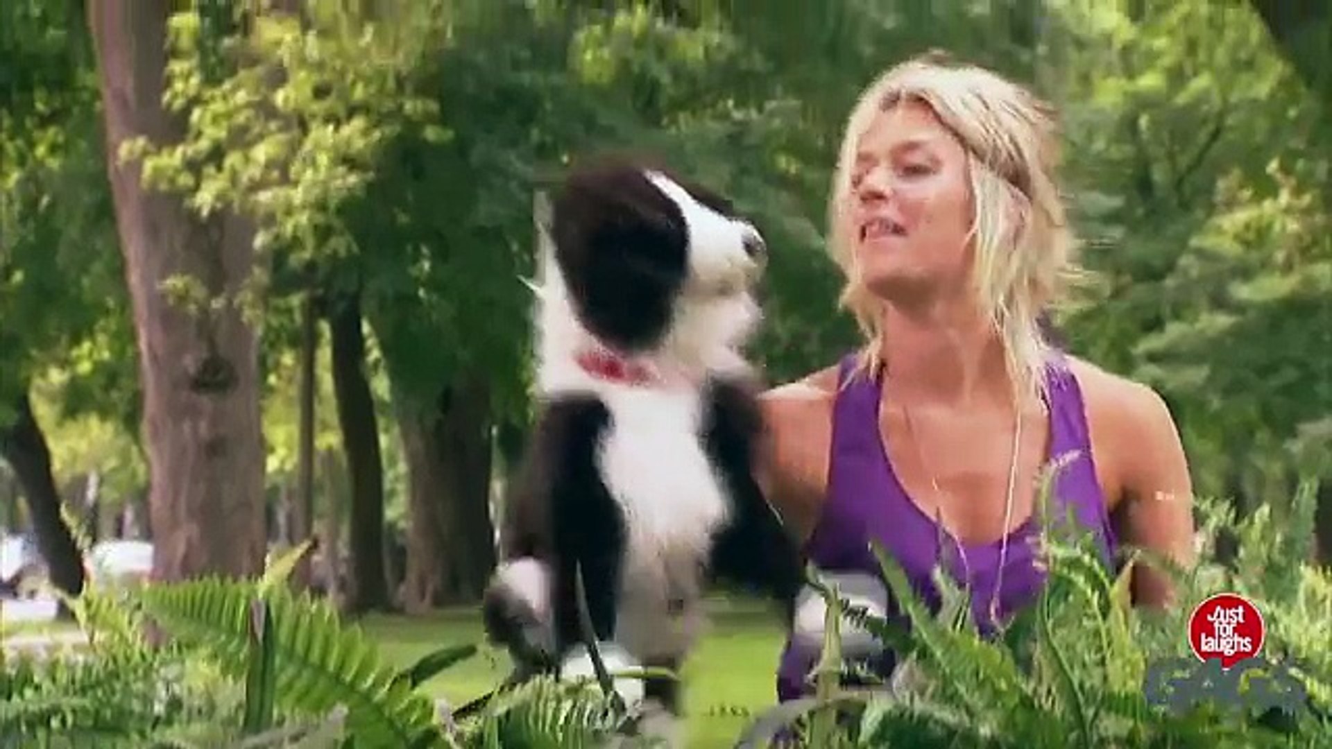 ⁣Stuffed Dog Attacks Real Dog