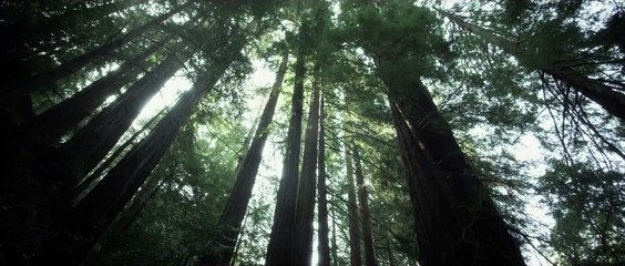 BIG SUR Trailer (Jack Kerouac's Book Adaptation)