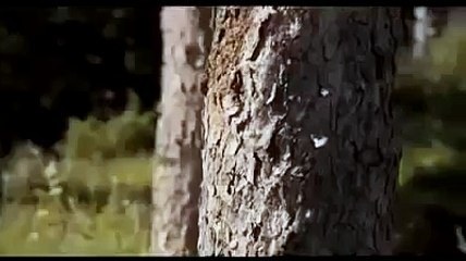 Scary Movie 5 Trailer # 2 (2013)