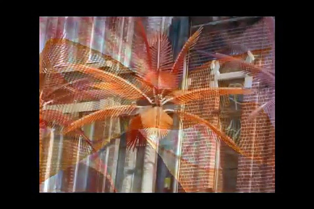 CATHY ZEROUG : "Orange d'y voir" (paroles et musique : Cathy Zeroug)