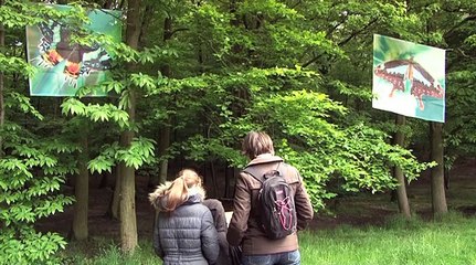 Fête de la nature : Meudon