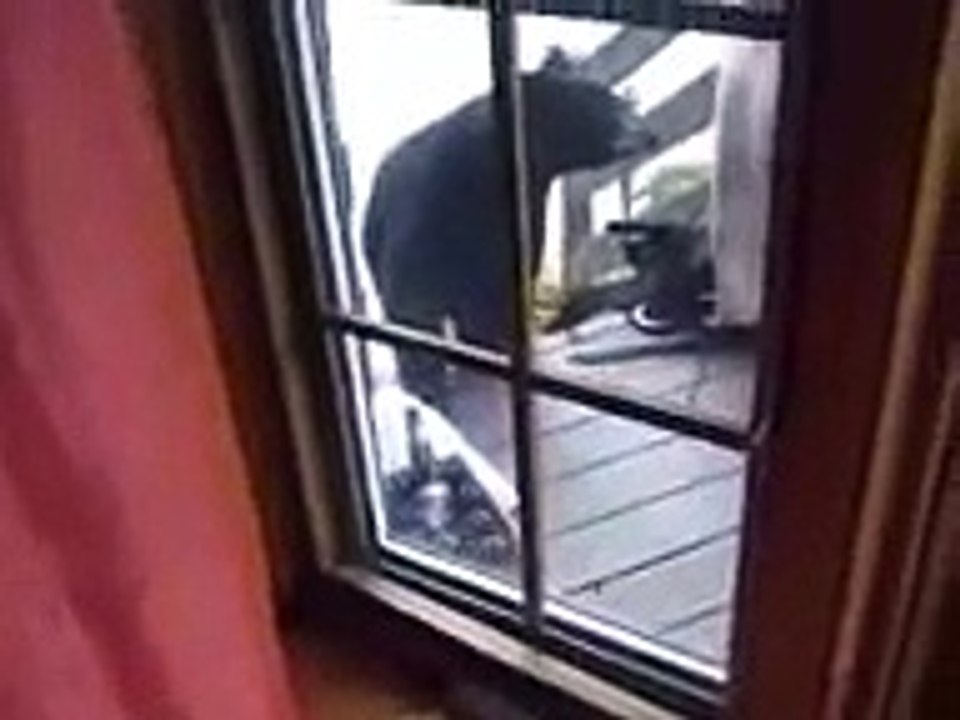 chat vs ours ^^