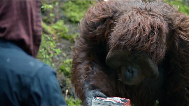 _Learning to Read_ DAWN OF THE PLANET OF THE APES Movie Clip # 3