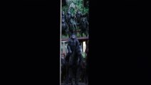 [Final Trailer] DAWN OF THE PLANET OF THE APES