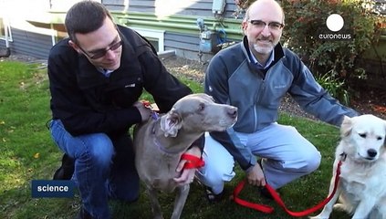 Tests on dogs in hope of prolonging human lifespan