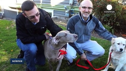 La rapamycine : nouvel élixir de jouvence ?