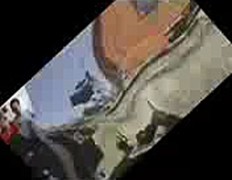 Download ef checksum manager portable u3 v.6.40 crack elite edition