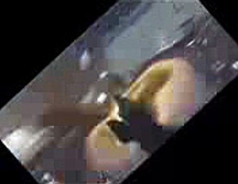 Download magiciso maker v.5.5 build 281 crack 100% working