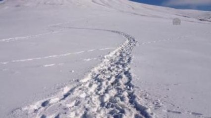 Türkiye-İran Sınırında Ceset Bulundu