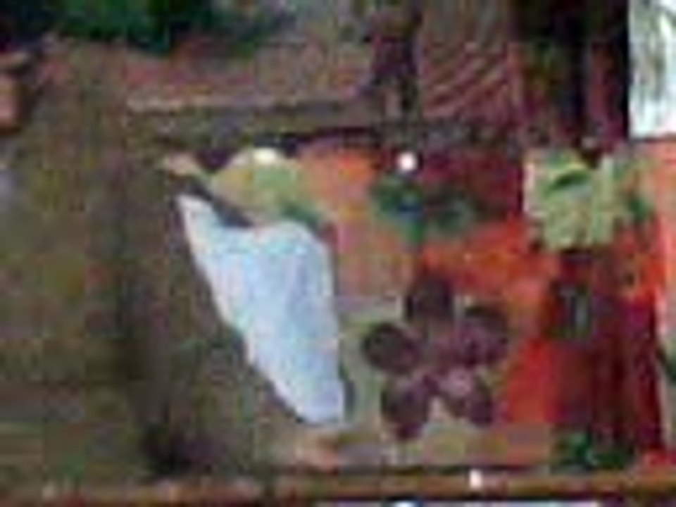 Pak sarkar