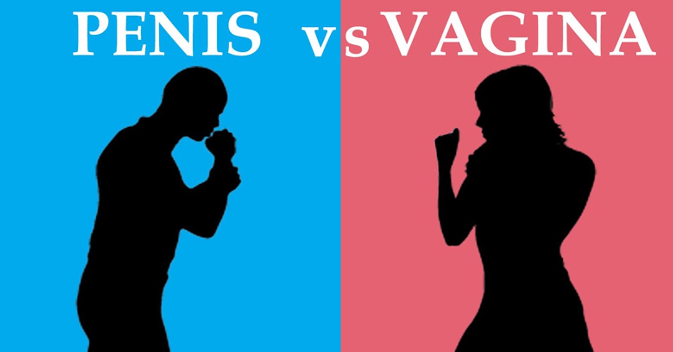 Pen!s vs Vag!na