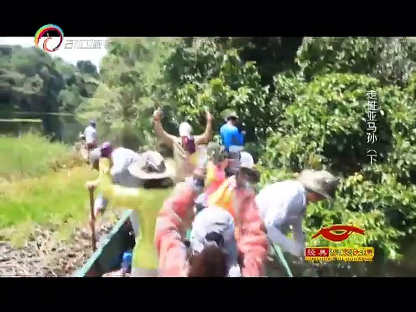 ⁣20141205 经典人文地理 []热带雨林成节肢动物和爬行类动物的世界